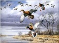 Vögel Migration